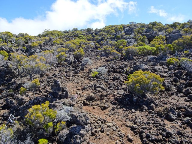Le sol y est également très minéral. Gare à la chute