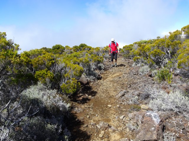 Le sentier de la Plaine des Sables, très familial