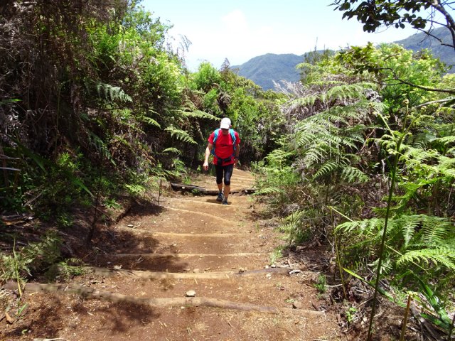 Quelques fortes pentes pour échauffer les muscles