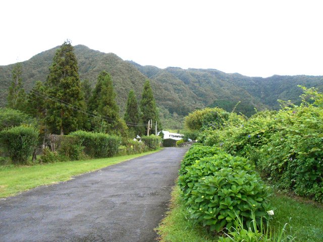 La petite route qui passe près de l'observatoire