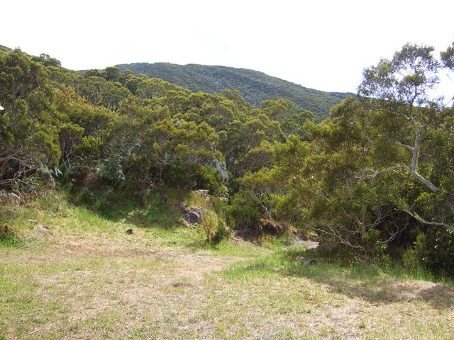 L'esplanade devant Camp 2000