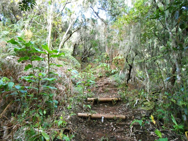 Une portion de sentier qui remonte le long de l'arête