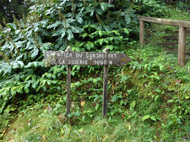 L'arrivée à la piste