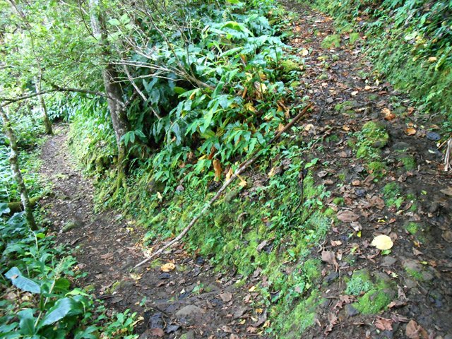 Un lacet serré où il faut éviter de courir