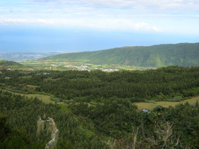 Point de vue sur les cryptomerias de la région et sur l'océan vers l’Étang Salé