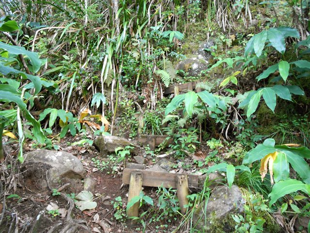 Une autre constituée de petites marches dans les longoses