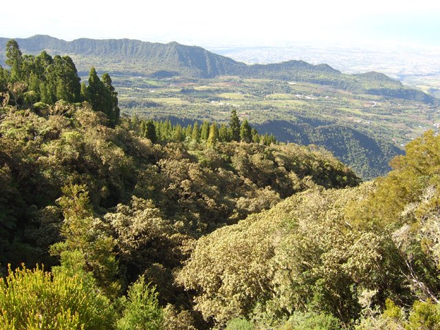 Vue sur la Chaîne du Bois de Nèfles depuis la piste