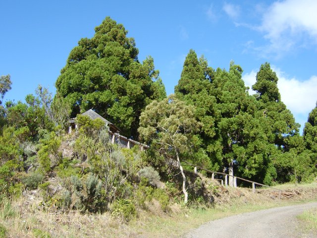 Un kiosque assez peu utilisé le long de la piste