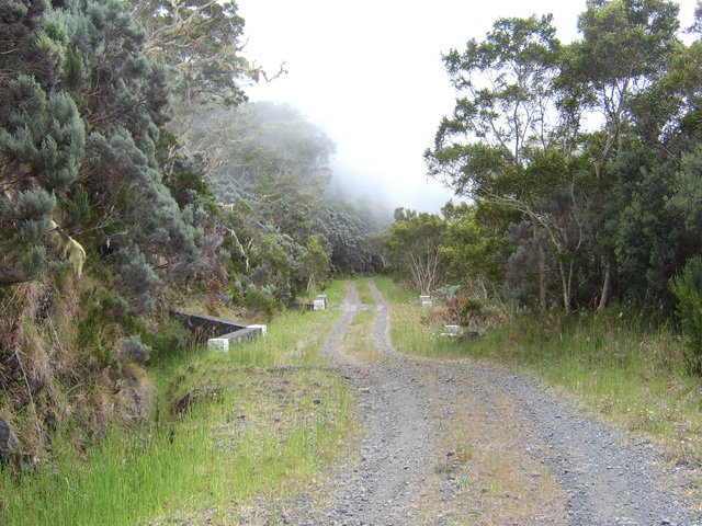 La piste est toujours de cette qualité