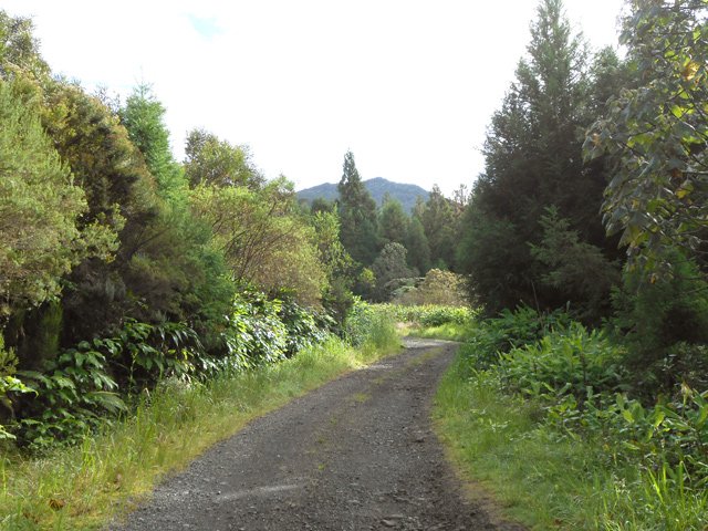La piste de la Scierie et du Haut des Makes.