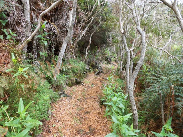 Le sentier, fréquenté, est de bonne qualité