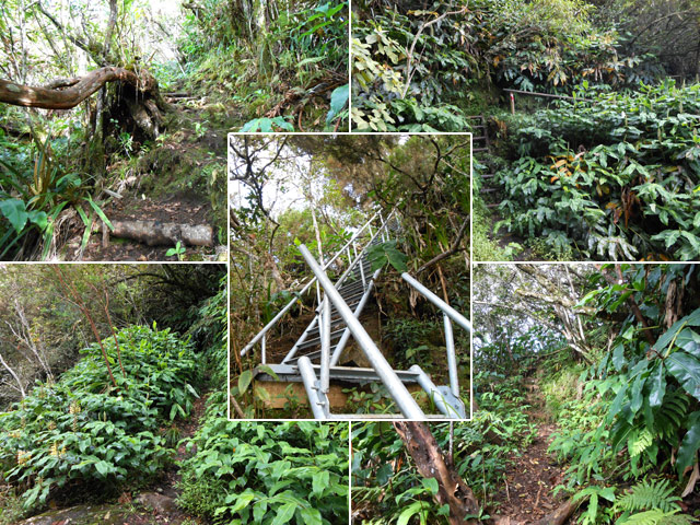 Les échelles et quelques portions du premier sentier