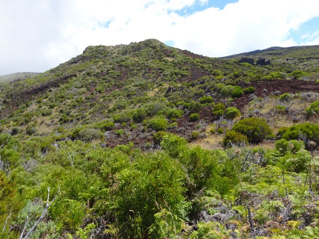 Le Piton Rouge grossit à vue d'œil aux alentours de la caverne