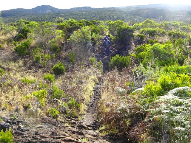 Le sentier, un classique de la région, est toujours en bon état