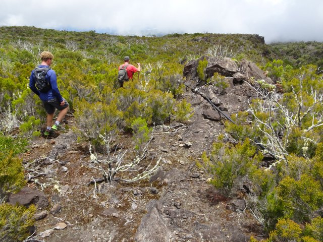 Le fil d'Ariane, en fin de parcours, est ce long tuyau noir