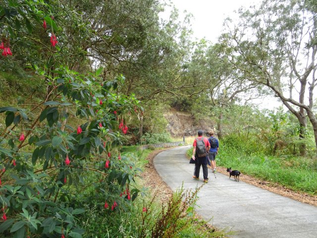Le tronçon de route est inévitable mais agréable dans le cadre verdoyant