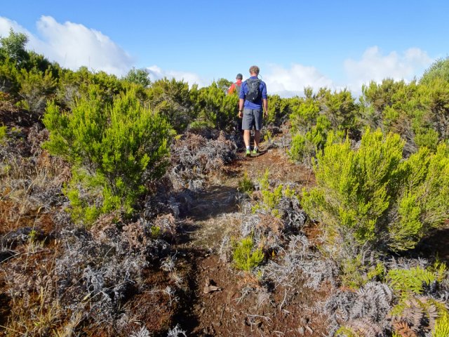 Une grande partie du trajet s'effectue sur de petits sentiers faciles à suivre