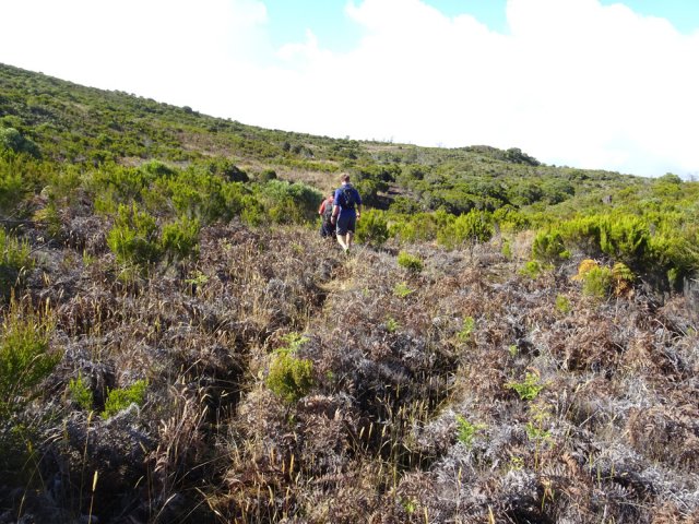 D'autres sont plus discrets mais on peut marcher n'importe où
