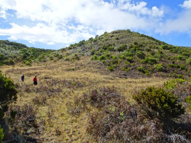 Sentier bien marqué pour le retour vers la Ravine de la Fontaine