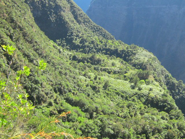 L'îlet Marron, méconnaissable 50 ans plus tard