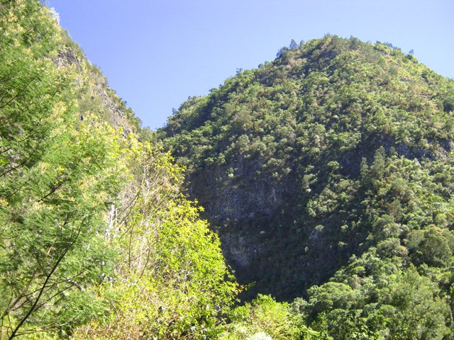 L'eau pouvait se récupérer à la Ravine Creuse