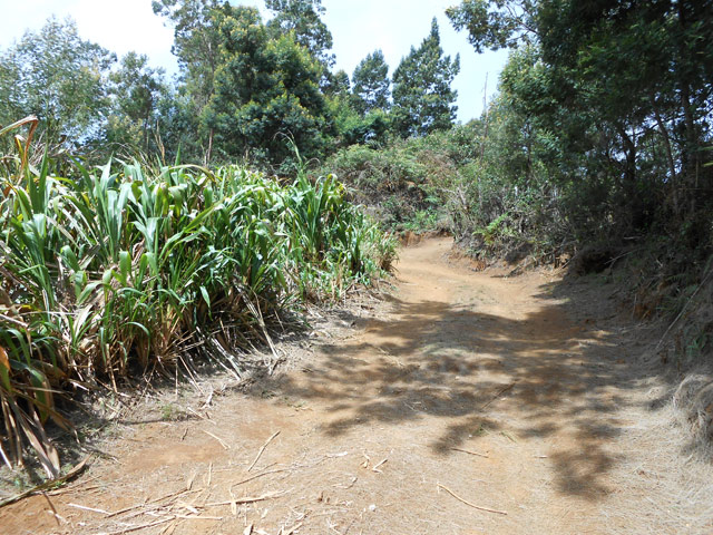Les pistes permettent de se reposer en profitant des panoramas sur le Dimitile