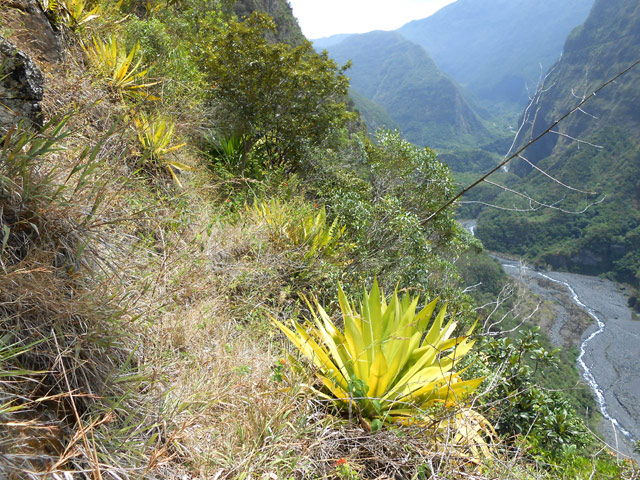 Le sentier devient de plus en plus étroit pour l'ultime descente