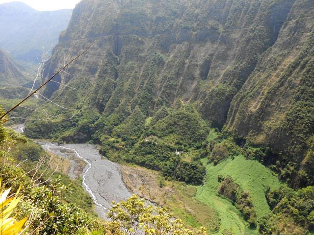 Le grand "champ" de chouchous en face de la grotte sert de repère pour la remontée
