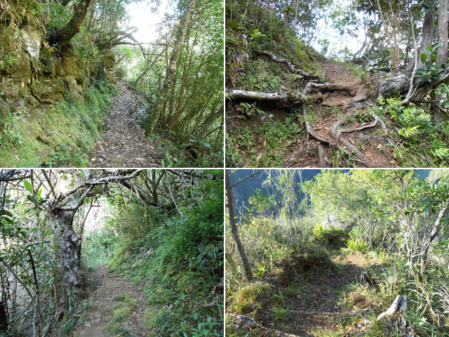 Quelques portions de sentier en remontant vers l'Argamasse