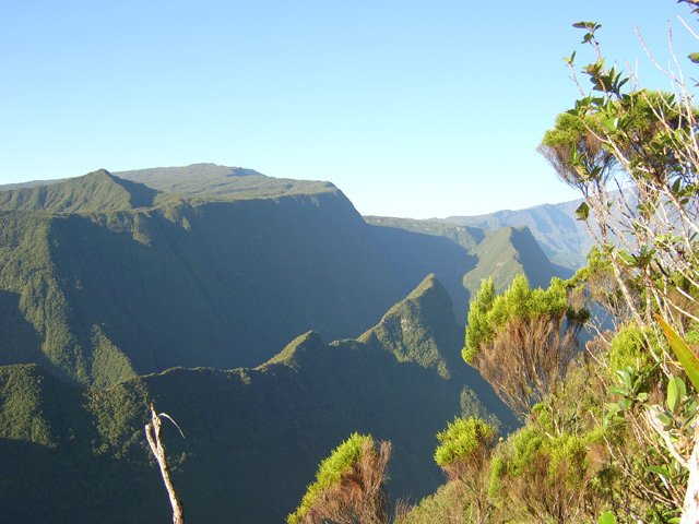 La Forêt des Lianes est totalement ensoleillée, bien avant le Trou de Fer
