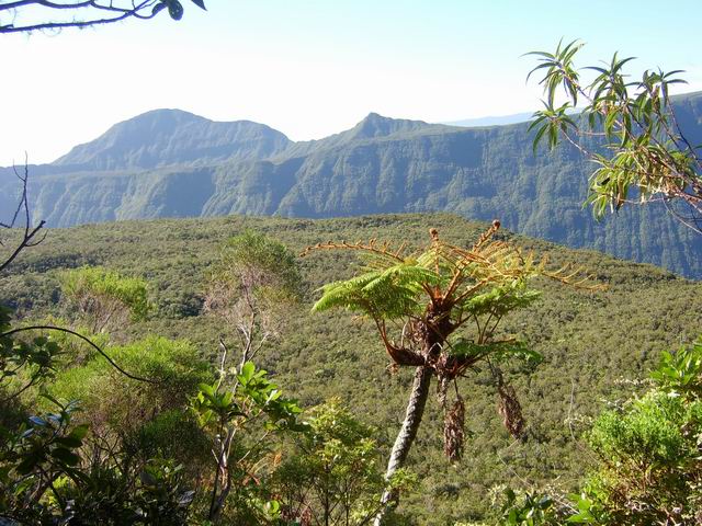 Le Cap Picard et la forêt du Petit Plate