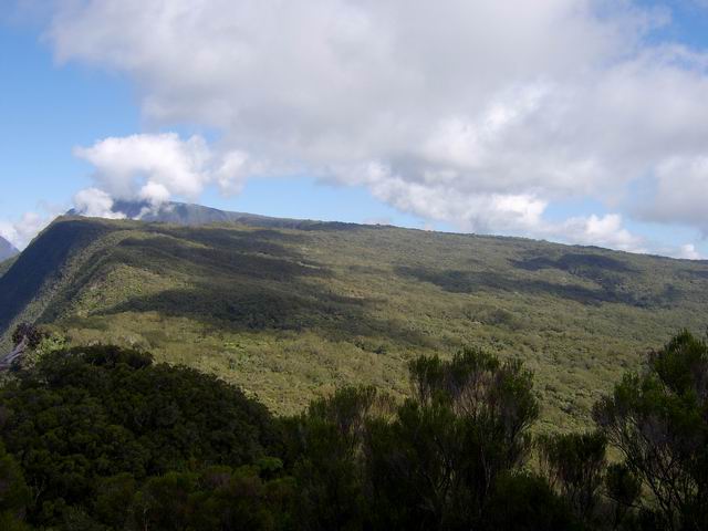 La montée au Bé Massoune et la Forêt de la Plaine des Fougères
