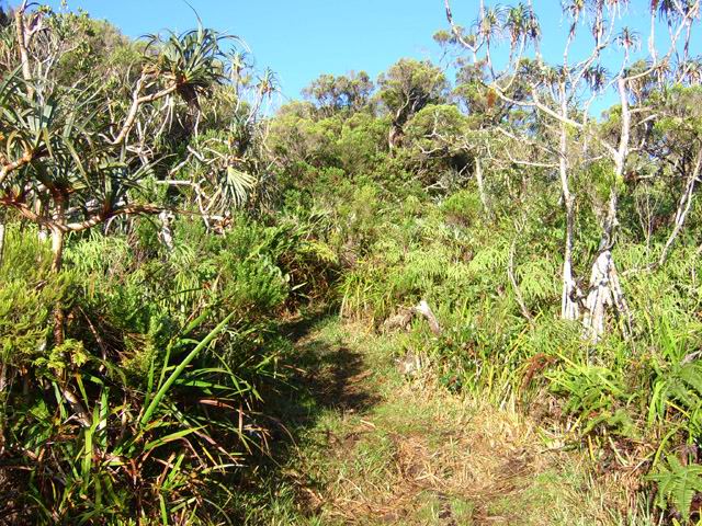 Une idée du sentier