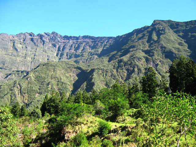Le cœur du Piton des Neiges depuis une zone privée des ses grands arbres