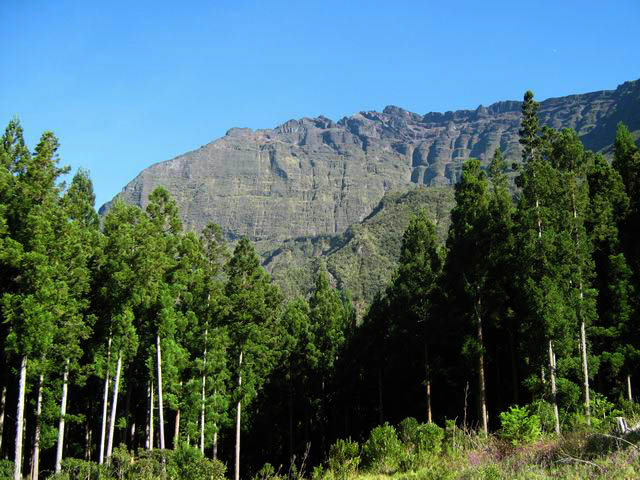 Magnifiques panoramas sur le Gros Morne ou le Piton des Neiges depuis la route
