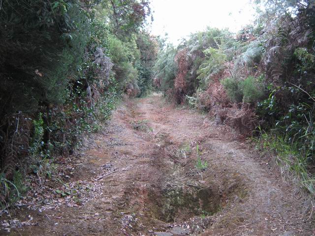 La piste glissante et remplie d'ornières après l'Impasse des Cryptomerias