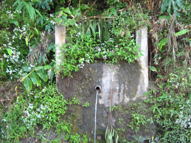 La source du Petit Maniron, en bordure de route