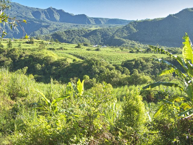 Panorama sur la Chaîne du Bois de Nèfles depuis la fin du sentier