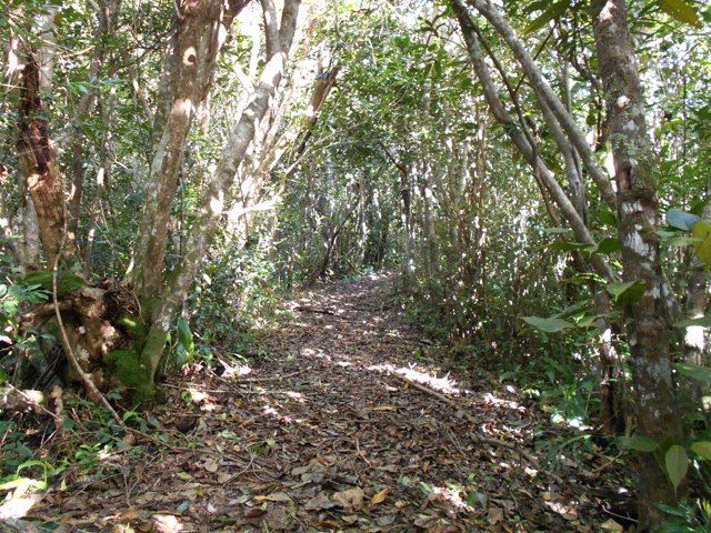 La partie la plus agréable de toute la boucle