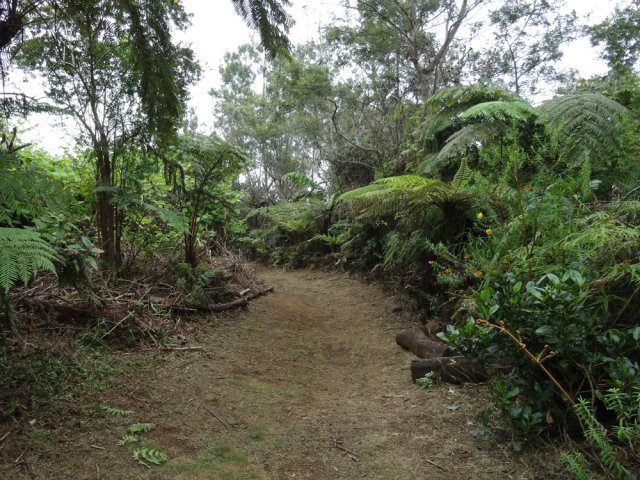 La piste est très agréable, surtout après des travaux d'entretien