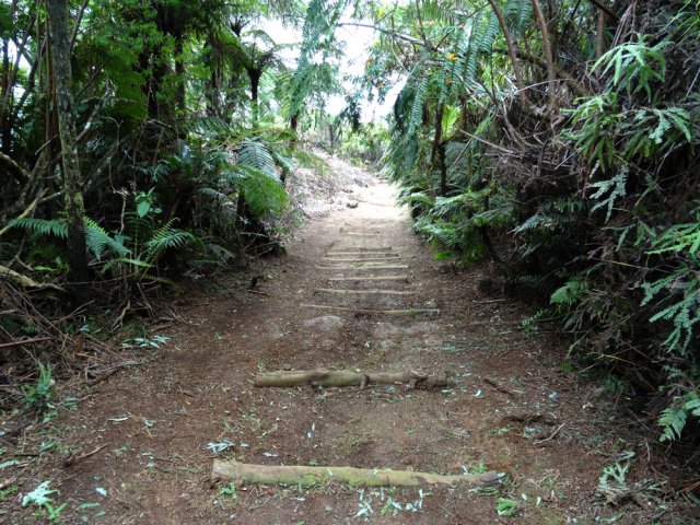 Les rondins évitent les glissades sur la terre humide