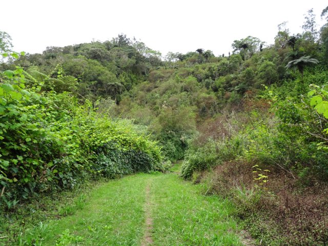 Avant les cultures, la piste est plutôt herbeuse