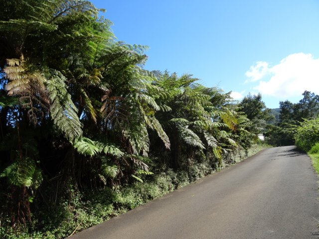 Le Chemin des Remparts en direction des Hauts de Mont Vert