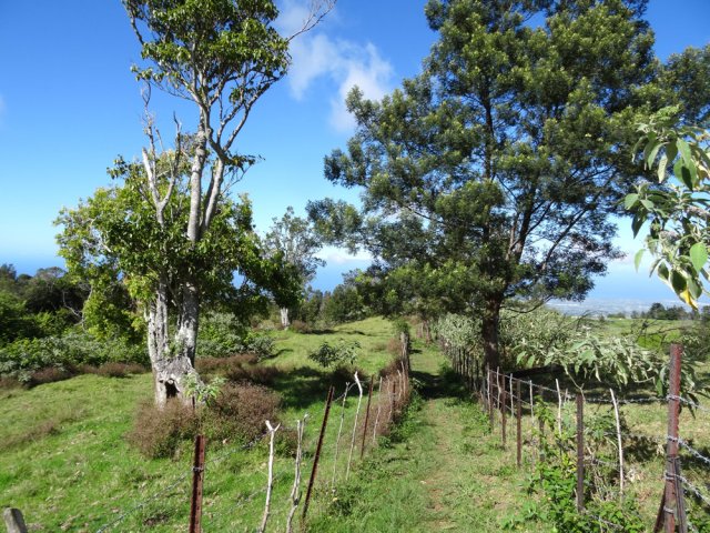 Le sentier traverse de larges prairies