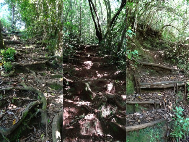 Quelques idées de la forte montée vers la Mare