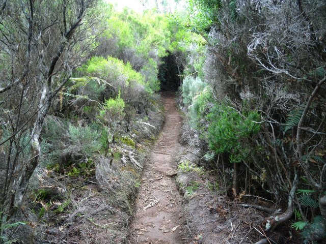 Plus haut, ce sont les branles qui l'emportent