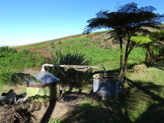 Un alambic qui fonctionne encore malgré le manque de géranium