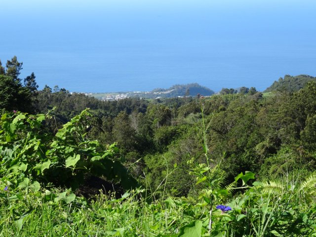 Petite Île et le Piton Calvaire depuis le Chemin des Acacias