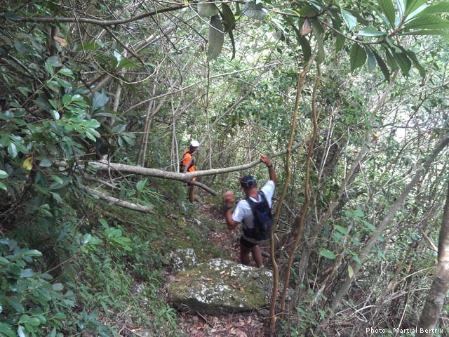 Sentier presque identique pour redescendre vers Grand Galet