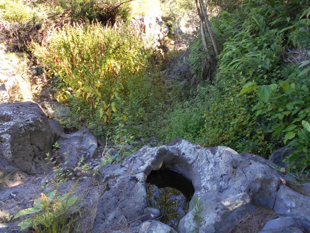 Le Bassin Pirogue, à sec la plupart du temps